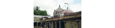 071. திருநெடுங்களம்